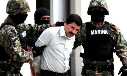 Operasi Militer Meksiko Lumpuhkan 11 Anggota Kartel Sinaloa