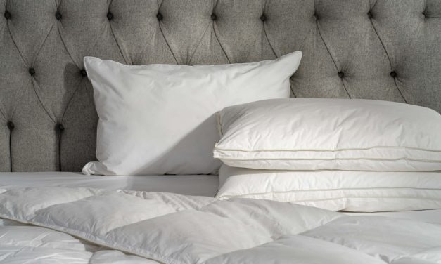 Ganti Bantal Setiap Dua Tahun Hindari Penumpukan Spora Jamur