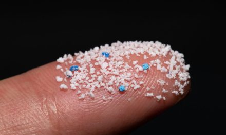 Universitas Oxford Temukan Partikel Mikroplastik Dalam Jantung