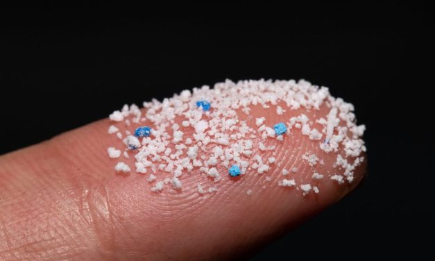 Universitas Oxford Temukan Partikel Mikroplastik Dalam Jantung
