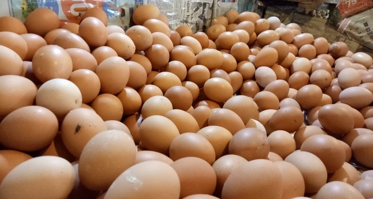 Badan Gizi Nasional Instruksikan Penambahan Menu Telur Di MBG