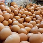 Badan Gizi Nasional Instruksikan Penambahan Menu Telur Di MBG