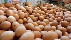 Badan Gizi Nasional Instruksikan Penambahan Menu Telur Di MBG