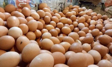Badan Gizi Nasional Instruksikan Penambahan Menu Telur Di MBG