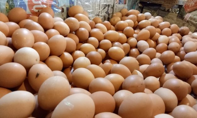Badan Gizi Nasional Instruksikan Penambahan Menu Telur Di MBG