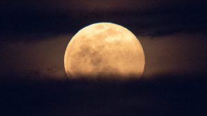BMKG Deteksi 'Supermoon' Langka, Waspada Potensi Banjir Rob
