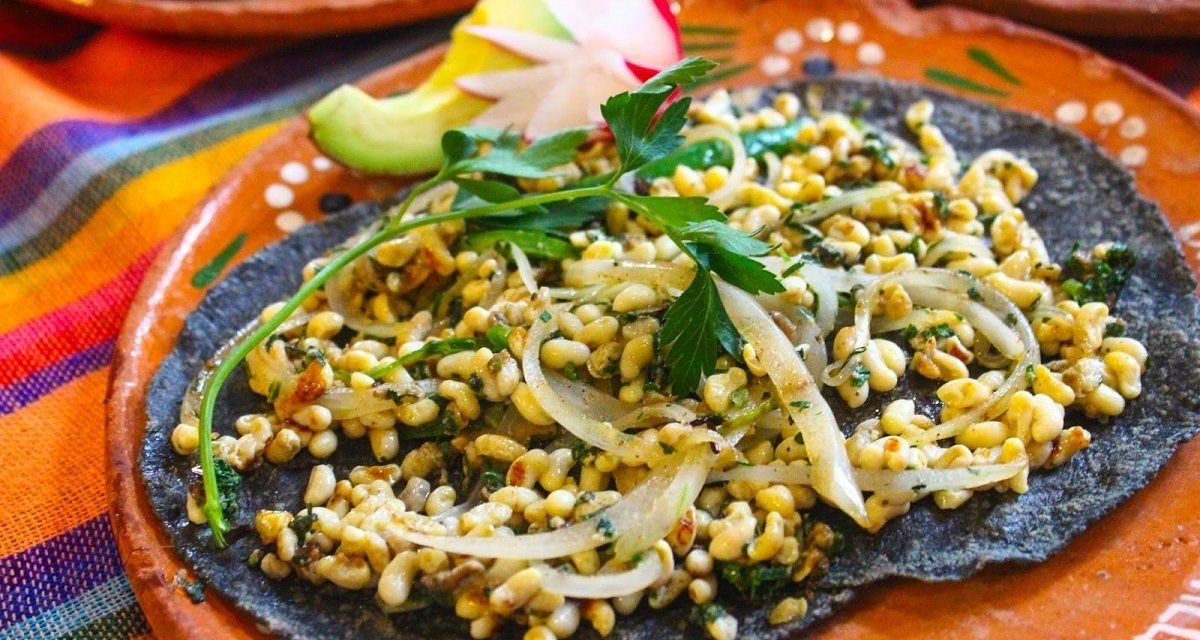Escamoles Meksiko, Kuliner Dari Larva Semut Pohon Tequila
