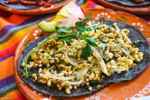 Escamoles Meksiko, Kuliner Dari Larva Semut Pohon Tequila