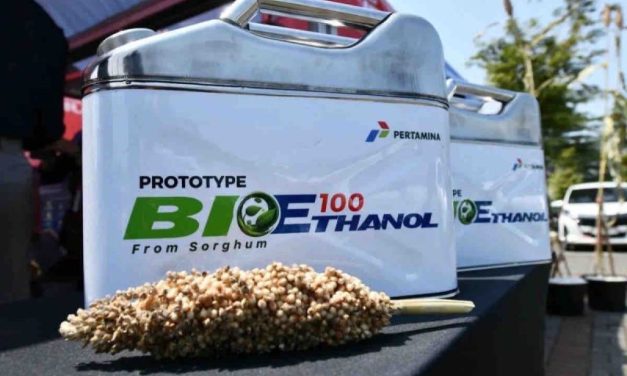 Target Bensin E20, Pemerintah Bangun 50 Pabrik Etanol Baru
