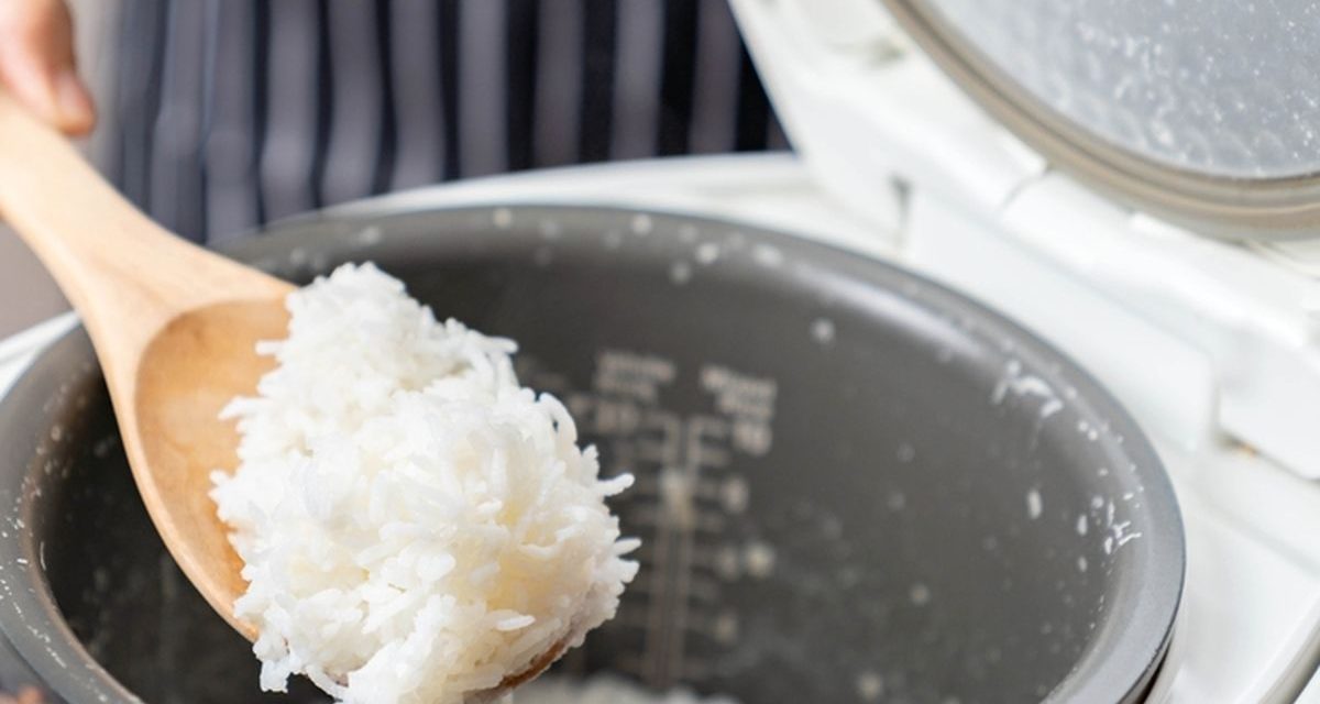 Trik Nasi Bebas Lengket Di Rice Cooker Pakai Minyak Kelapa