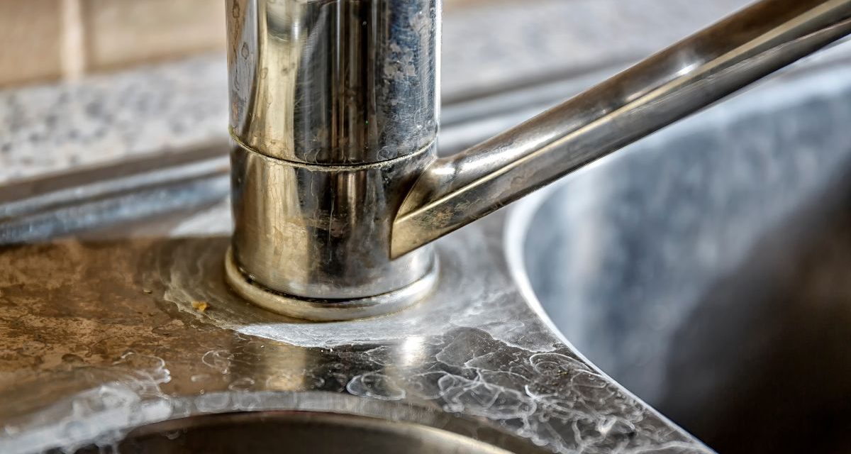 Hilangkan Kerak Keran Stainless Pakai Belahan Lemon Mentah
