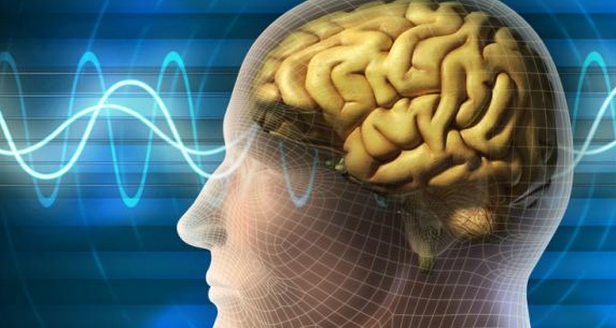 Malfungsi Protein Otak Jadi Pemicu Penyakit Neurodegeneratif