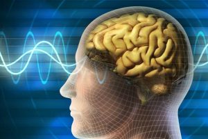 Malfungsi Protein Otak Jadi Pemicu Penyakit Neurodegeneratif
