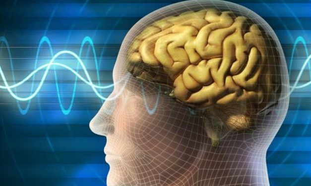 Malfungsi Protein Otak Jadi Pemicu Penyakit Neurodegeneratif