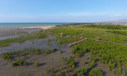 Teknologi Citra Satelit BRIN Kunci Restorasi Mangrove